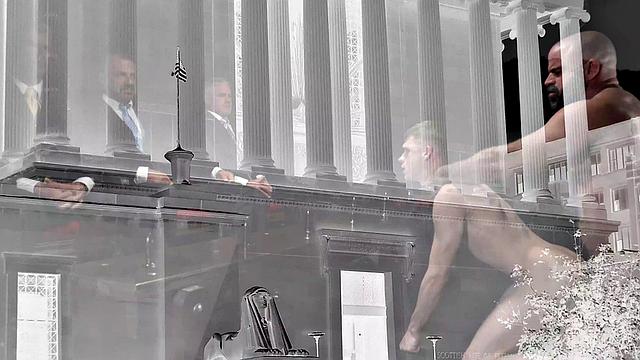 APPRENTICE SHEPARD - The Interview