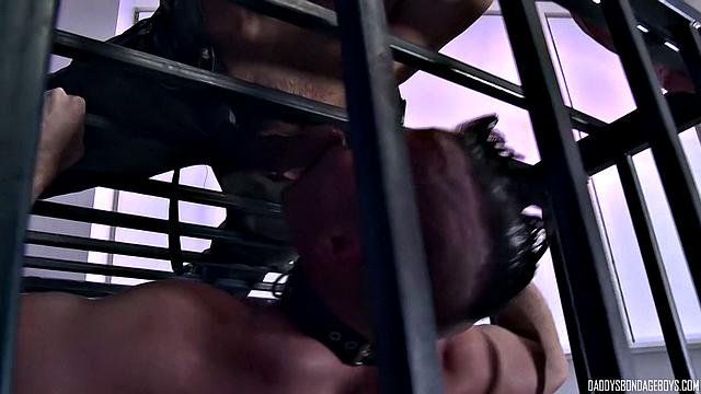 Pup Training Play - Part 1 - Derek Da Silva & Cullen Cable