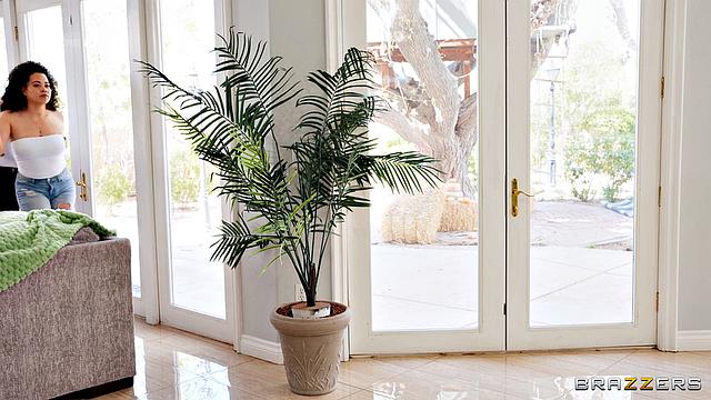 Mating Habits Of Locals