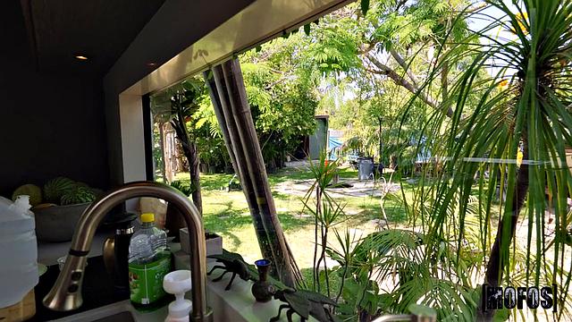 Fundraising, Dickraising