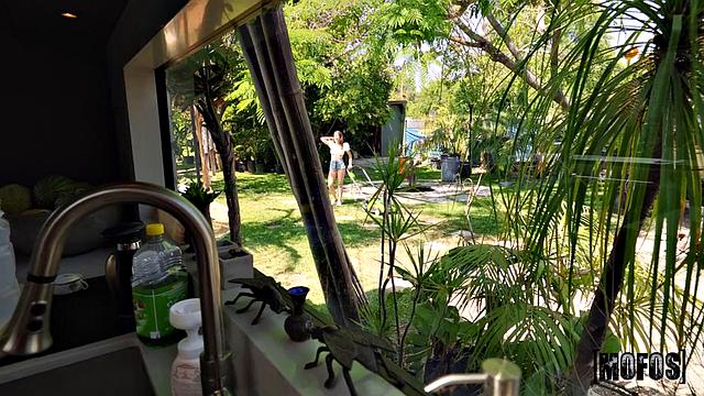 Fundraising, Dickraising