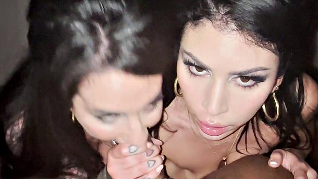 Queenie Arabelle Have A Heart