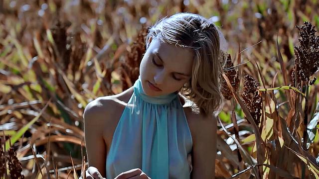 Prairie Rose With Ray