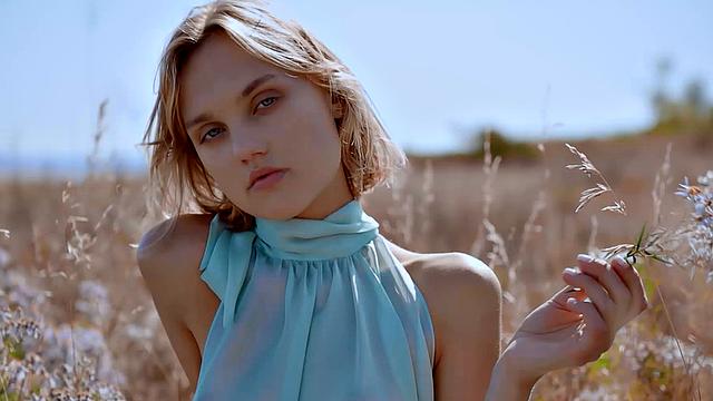 Prairie Rose With Ray