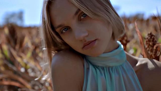 Prairie Rose With Ray