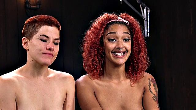 Whipped BDSM subjects obedient to master in a hard lesson