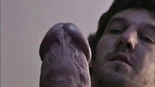 This big handsome guy is a really wonderful fellow, and a bit of a surprise. I was expecting him to be arrogant and self-centered.