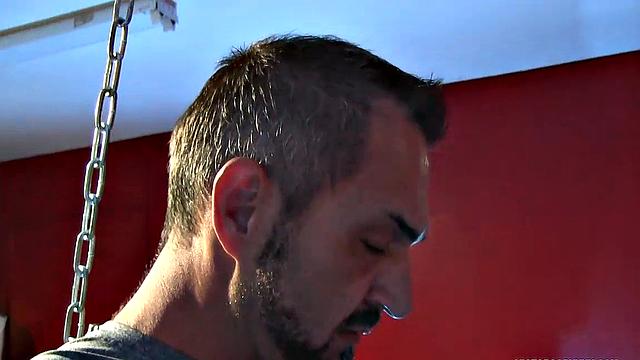 Bound, Spanked, and Barebacked