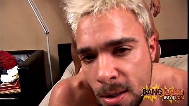 Bruno Durango bangs Troy