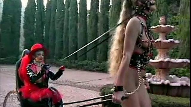 Busty Hollywood Babes 4