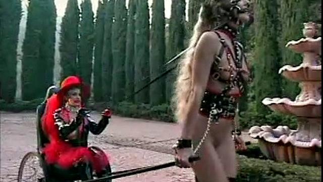 Busty Hollywood Babes 4