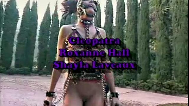 Busty Hollywood Babes 4