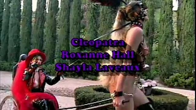 Busty Hollywood Babes 4