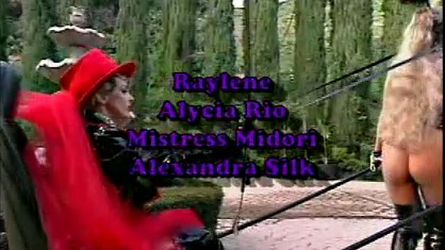 Busty Hollywood Babes 4