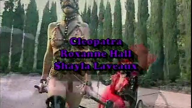 Busty Hollywood Babes 4