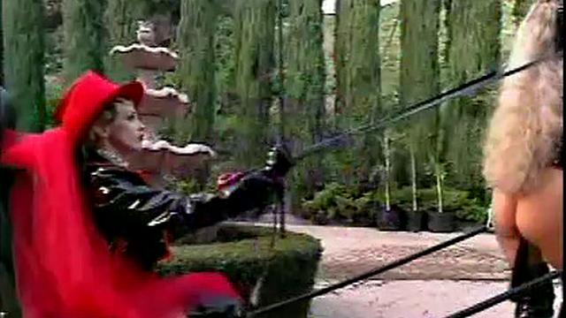 Busty Hollywood Babes 4