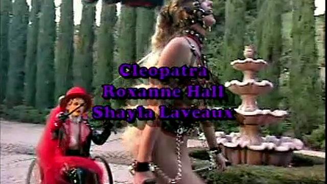 Busty Hollywood Babes 4