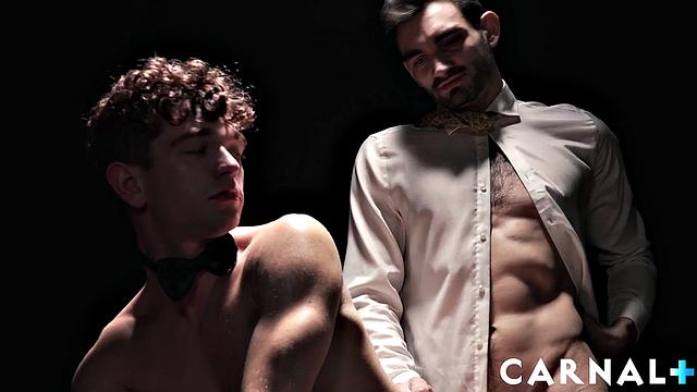 The Auction THE CANYON Vol. 1