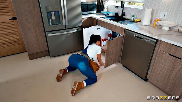 Plumbing Fantasy