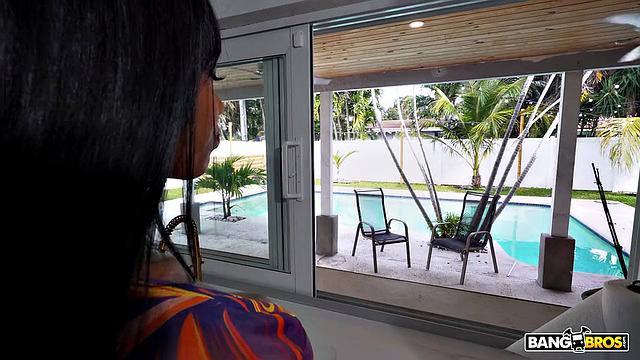 Lacey Wants Insurance