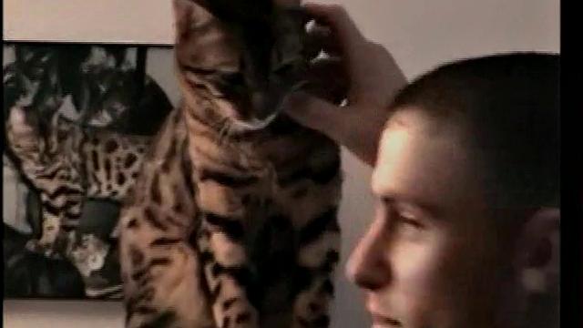 Straight Marshall Beats Off