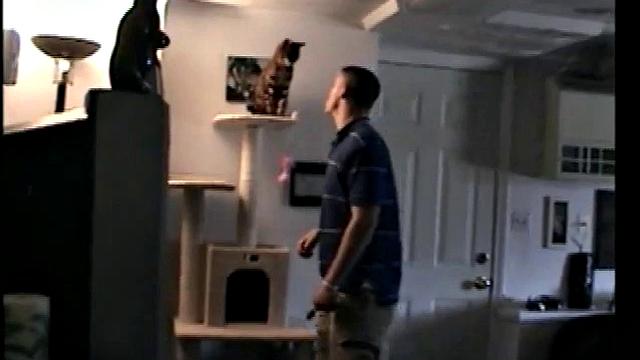 Straight Marshall Beats Off