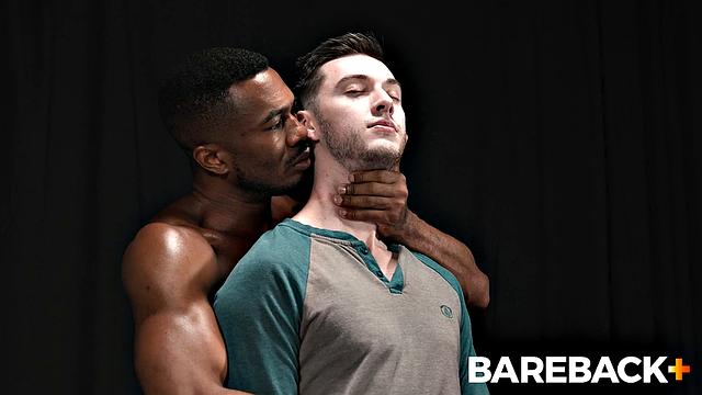 Stable Master Stud Shoots Load Vol. 6