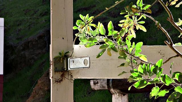 60-year-old meets 26-year-old cock