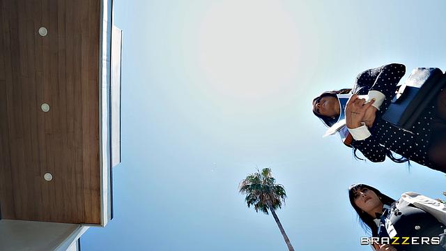 Cock Leads Them Astray