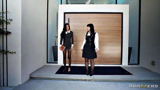 Cock Leads Them Astray