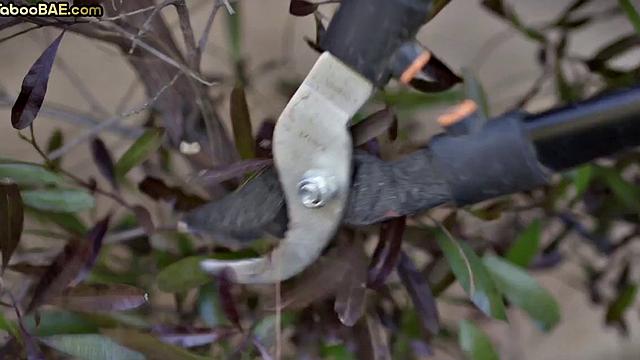 Bigbooty babe doggystyled by BF on couch after fingering