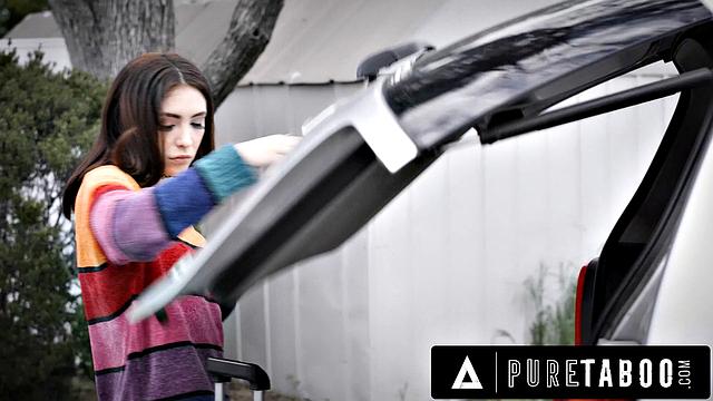 PURE TABOO - Homewrecker Jane Wildes Dark Agenda Ruins Stepsister Joanna Angels Wedding Day