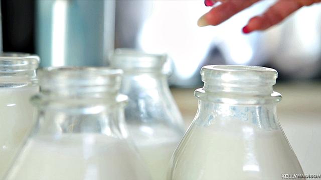 Land of Milk & Honey