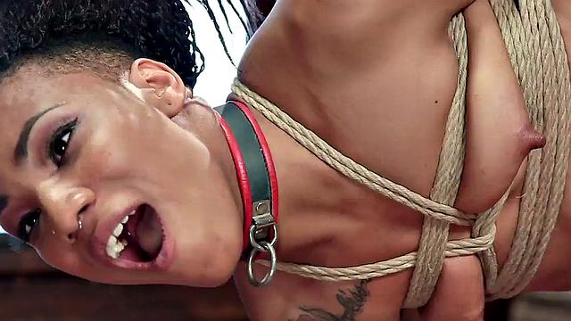 Black sub dominated in this kinky threesome