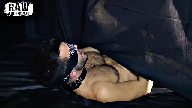 Logan and Riley Chapter 2