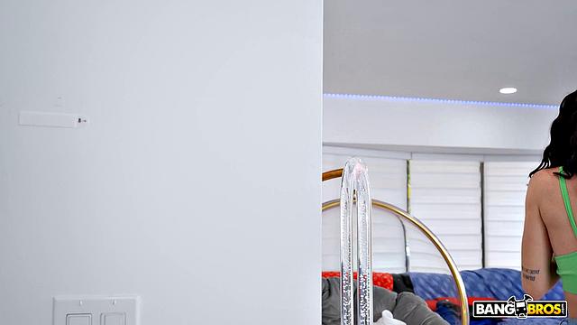 Foreign Exchange Students