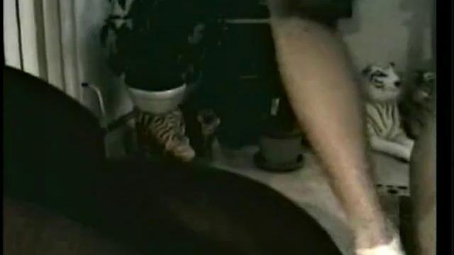 Straight Boy Buzz Bkowing Vinnie