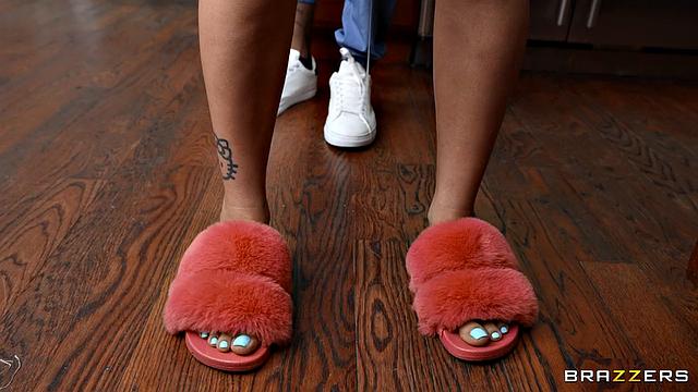 Damn, Damion...Sharked!