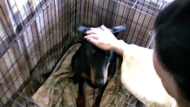 Janice gets out in POV while gobbling cock