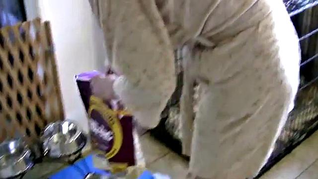 Janice gets out in POV while gobbling cock