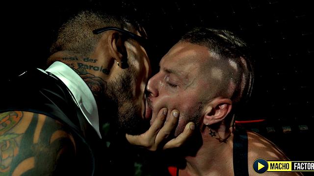 Exploring Sex Fantasies: Macho Reloaded (Part 1)