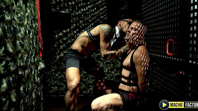 Exploring Sex Fantasies: Macho Reloaded (Part 1)