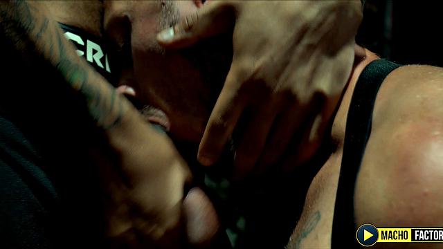 Exploring Sex Fantasies: Macho Reloaded (Part 1)
