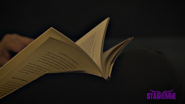 THE MAFIA Chapter 1 - Staghomme Origins