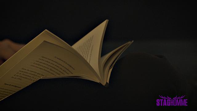 THE MAFIA Chapter 1 - Staghomme Origins