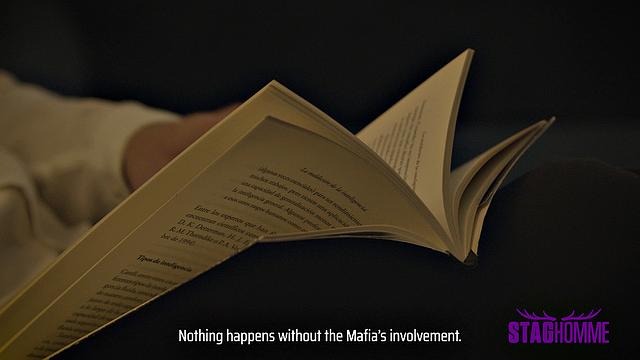 THE MAFIA Chapter 1 - Staghomme Origins