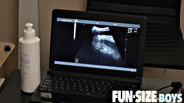 AUSTIN Chapter 18 - Anal Ultrasound