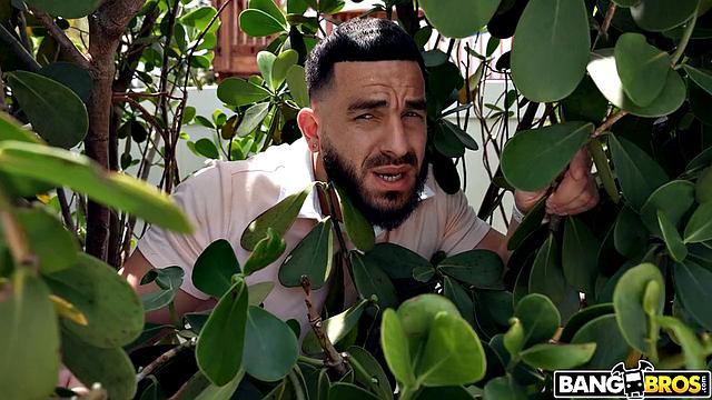 So Much Ass For The Neighbor!