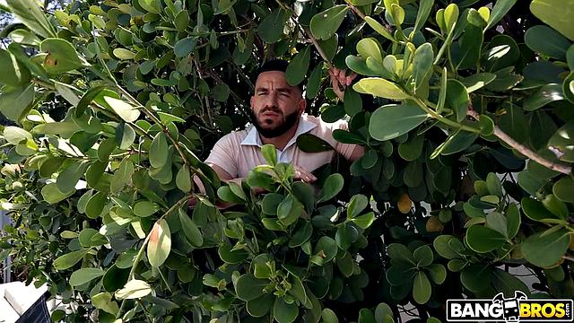 So Much Ass For The Neighbor!