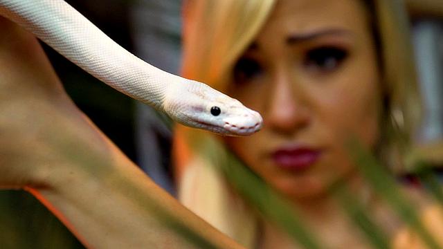 милф королева устраивает жаркую вечеринку в джунглях с игрушками